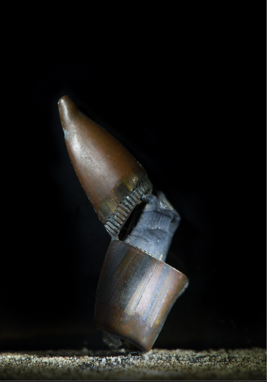 Silent Impact: Narratives of Bullets