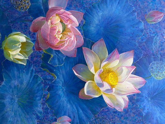 Lotus Series 1 (荷花系列1)