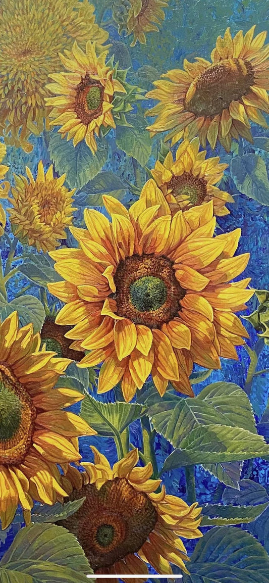 Sunflower 3 (向日葵3)