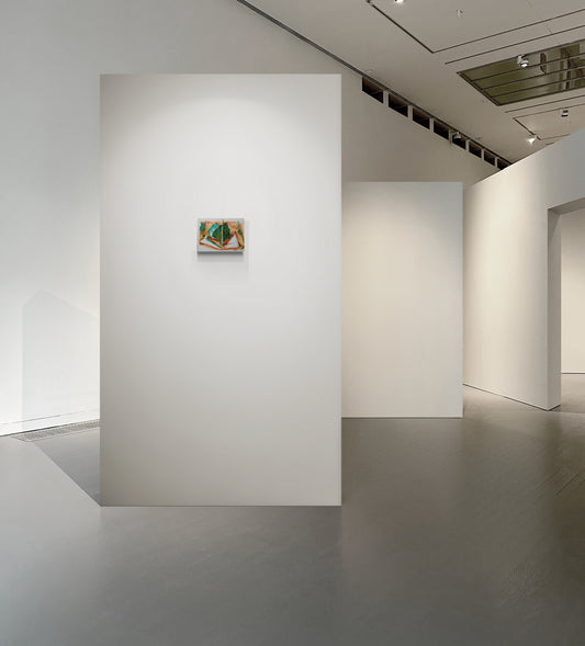 《禁足的景观》3