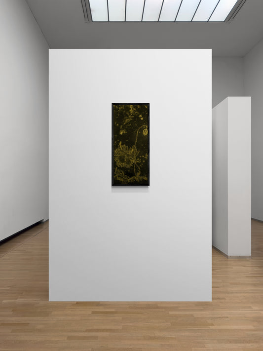 Dialogue through time with Giuseppe Castiglione (與朗世寧超時空對畫) 'Poppy Remembrance” (罌粟花懷念)